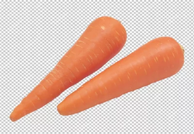 Many Carrots and celery are on a transparent background