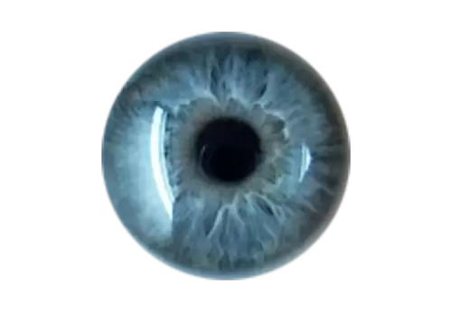 Human eye isolated on a transparent background Realistic Eyeball with a blue retina closeup