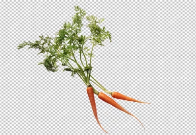 Delicious carrot raw image transparent background 