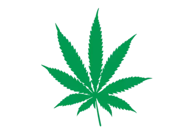 Close-up of plant against transparent background png