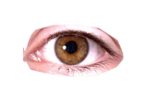 Eye Close up photo png