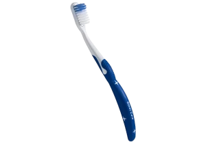 blue And white Toothbrush