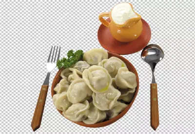Fried dumpling Isolated on transparent background
