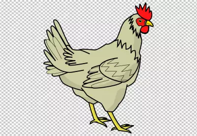 Photorealistic view of rooster with beak and feathers PNG background 