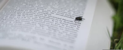 A fly is perched on a book that is opened and laying flat on a grassy surface