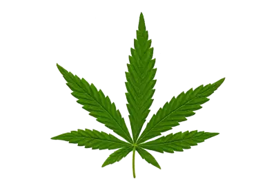 Cannabis Leaf png