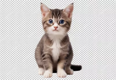 Adorable Tabby Kitten with Bright Blue Eyes on White Background image