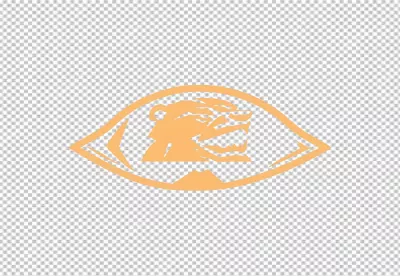 Aggressive Bear Head Mascot Logo in Eye-Shaped Emblem Design Illustration image