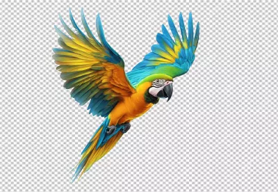 Vibrant Flying Macaw Parrot with Colorful Wings in Dynamic Pose image
