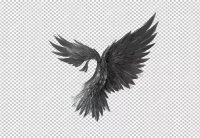 Dramatic Black Feathered Wings Spread Wide, Isolated on Clean White Background image