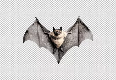 Cute Brown Bat Flying with Open Wings PNG Cutout for Halloween Designs image