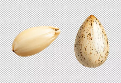 Realistic Whole and Cracked Bird Eggs PNG for Spring and Nature Designs image