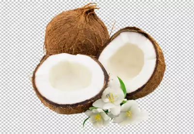 PNG Piece of coconut isolated on transparent background