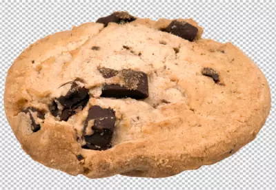 homemade cookies of irregular round or oval shape