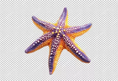 Vibrant Colorful Starfish Marine Creature for Underwater Design image