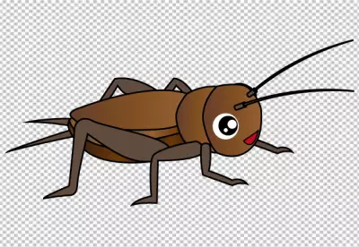 Cricket insect cartoon with png background