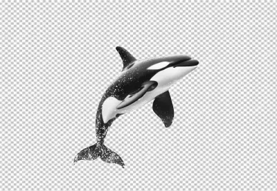 Dynamic Orca Jumping with Water Splash - High-Quality Marine Life PNG Cutout image