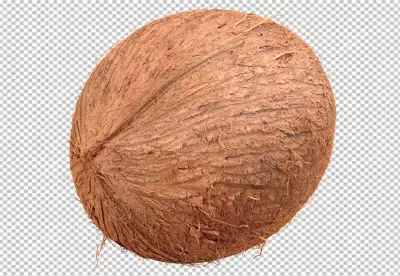 Top view of half brown and fresh coconuts PNG
