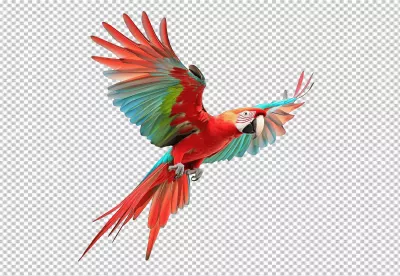 Vibrant Scarlet Macaw Parrot Flying with Wings Spread Tropical Bird Image image