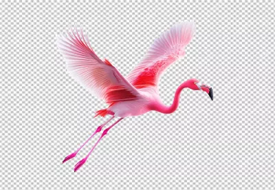 Graceful Pink Flamingo Soaring with Wings Spread in a Dynamic Flight image