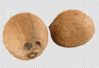 PNG  top view coco nuts sliced milky fresh