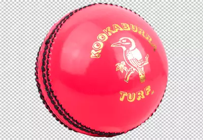 Cricket ball isolated on transparent background PNG