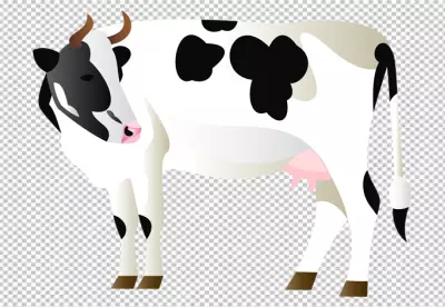 Profile of Holstein Cow on Transparent Background