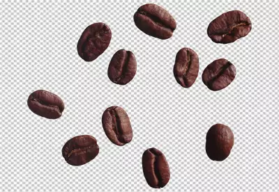 Fresh roasted coffee beans with copy space