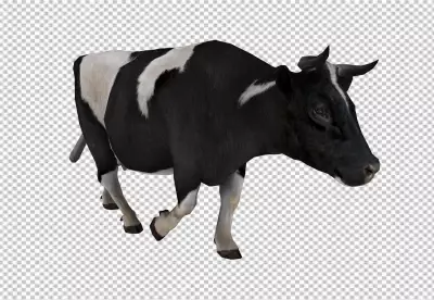 Cow cilp art on transparent background