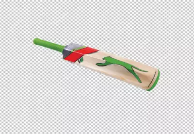 A picture of a bat and a bat with the words cricket on it