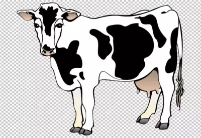 Realistic Holstein cow PNG