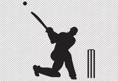 Dynamic Cricket Player