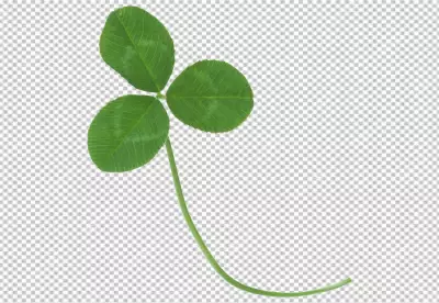 FourLeaf Clover
