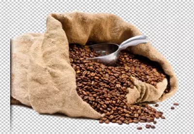 PNG Brown Coffee Beans on Transparent