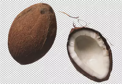 Realistic coconut background