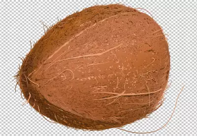 Fresh coconuts and coconut milk