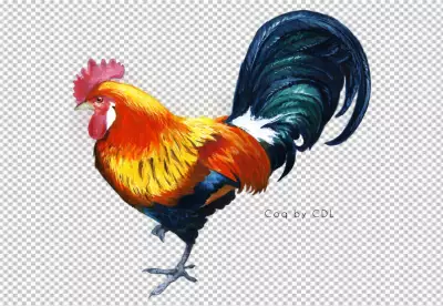 PNG Rooster in photorealistic style with beak and feathers
