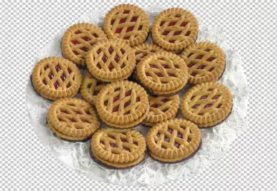 Delicious chocolate cookies 