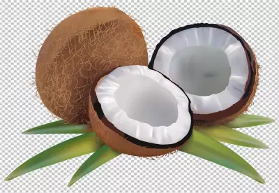 PNG Coconut with half and leaves on