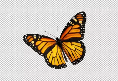 Vibrant Monarch Butterfly in Flight: Beautiful Insect PNG Cutout for Nature Designs image