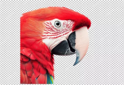 Stunning Scarlet Macaw Close Up Detail Tropical Bird Wildlife Photography image