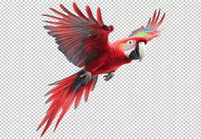 Vibrant Red Macaw Parrot Flying with Wings Spread Exotic Bird PNG Image image