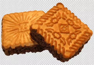 cookies and chocolate drops inside the prepared shortbread dough, homemade cookies of irregular round or oval shape