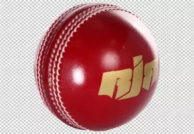 Cricket ball 