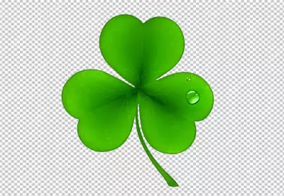 Clover leaf transparent background