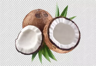 Close-up view of coconut concept