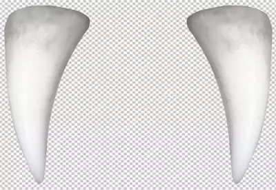 Vampire Teeth With Pointed Tooth