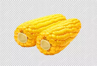corn on the cob on transparent background PNG