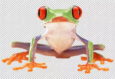 A green frog with red eyes and orange feet is sitting on a branch