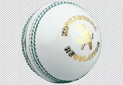 Cricket equipment in realistic style PNG